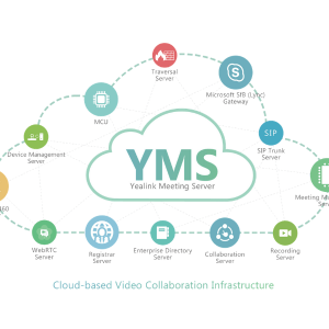 YMS Concurrent Call License